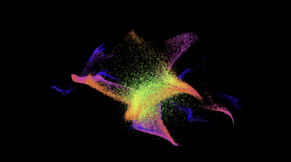 Animated particle form on the Collection Wall screen